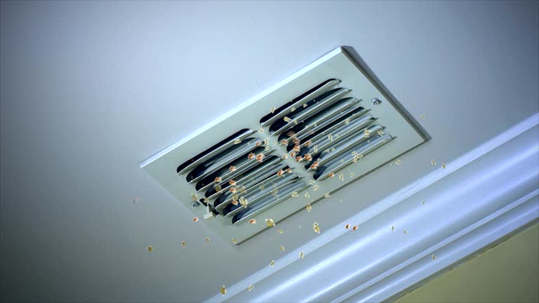 Best Affordable Duct Cleaning Services  in Myrtle Beach, SC