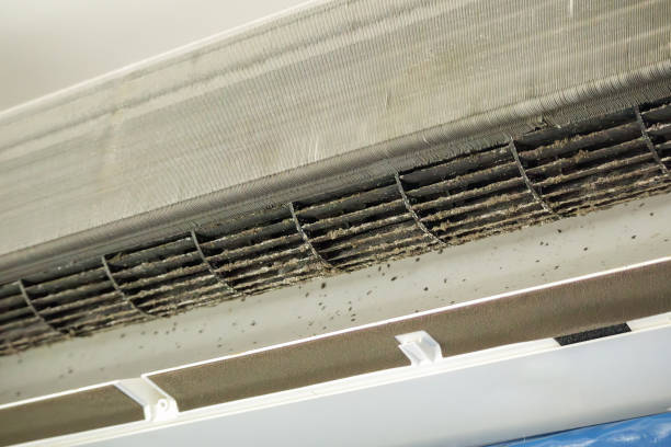 Best Dryer Vent Cleaning Services  in Myrtle Beach, SC